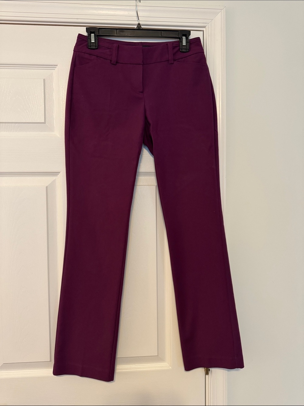 New York & Company Plum Boot-Cut Dress Pants